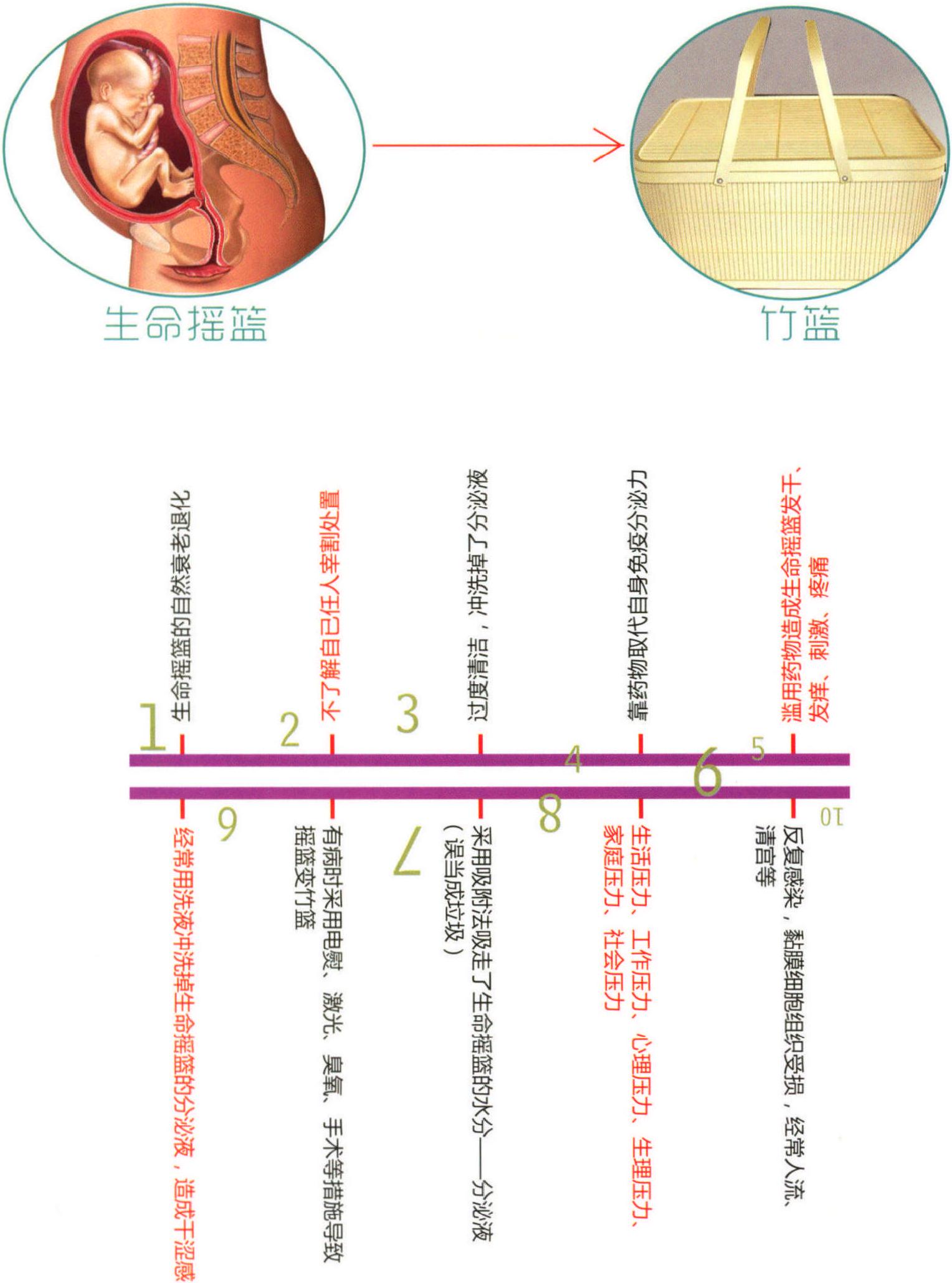 3.2 誰動了我的奶酪(生命搖籃)